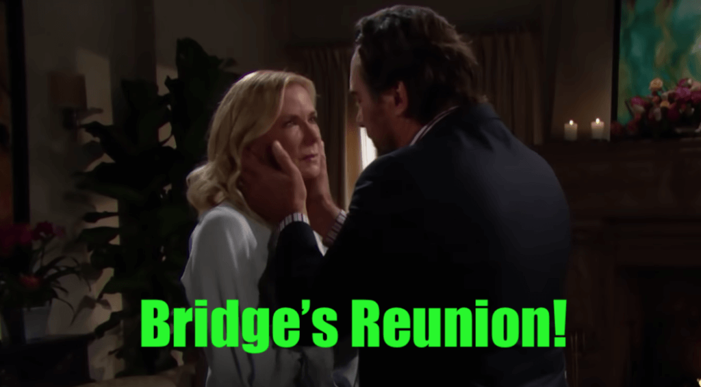 'Bold and the Beautiful' Spoilers: Is There Still Hope For a Brooke & Ridge Reunion? Here's What You Need To Know!
