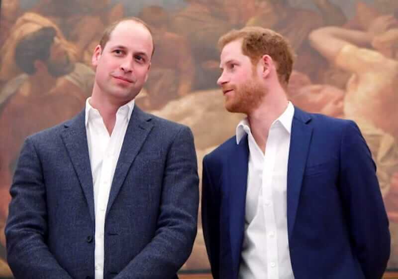 prince william prince harry brothers