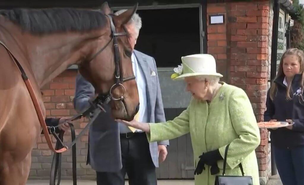 Queen Elizabeth Horse