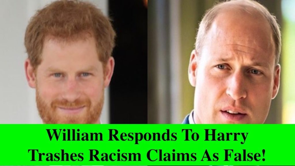 prince william prince harry british royal family