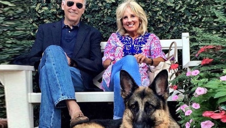 President Joe Biden's Dog, Champ, Dies At 13 - "We Love Our Sweet, Good Boy And Will Miss Him Always."
