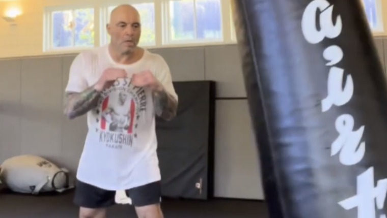 Joe Rogan Shows Off His Devastating Kick After Getting Help For Knee Injuries (Video)