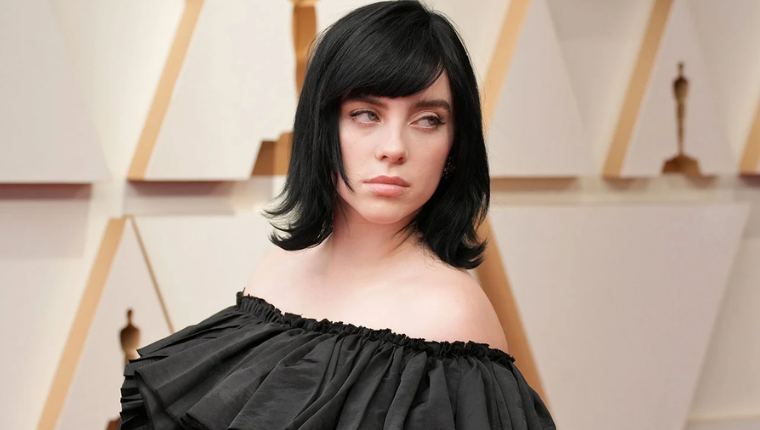 Billie Eilish Gives The Ultimate Troll Response To Her Academy Awards Dress!