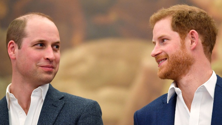Prince William Thinks Prince Harry Has Been Sucked Into An Alien World