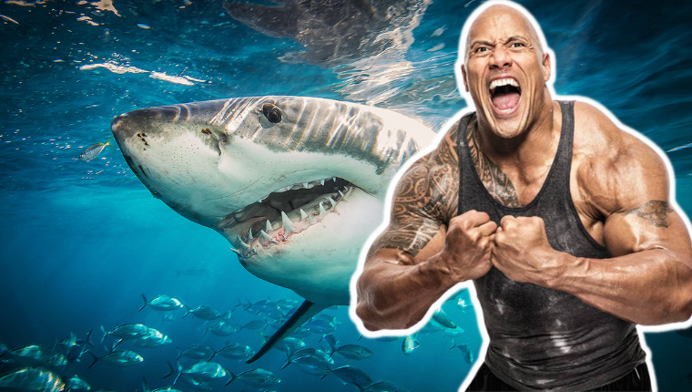 Dwayne 'The Rock' Johnson Teams Up With Discovery For A VERY Special Shark Week