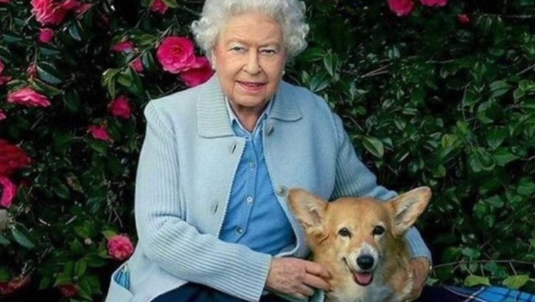Queen Elizabeth’s Corgis Given A Chance To Say Good-Bye Before Funeral Procession