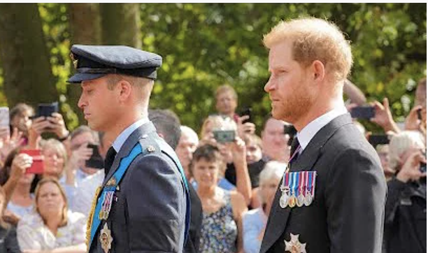 Harry and William Allegedly Had Dinner After Receiving The Coffin Of Queen Elizabeth II