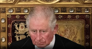 Prince Charles Left Shocked By Harry And Meghan's Digs Against The Royals