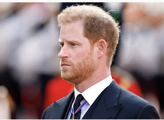 Prince Harry's Former Press Secretary Recalls Sending Duke Of Sussex An Inappropriate Message