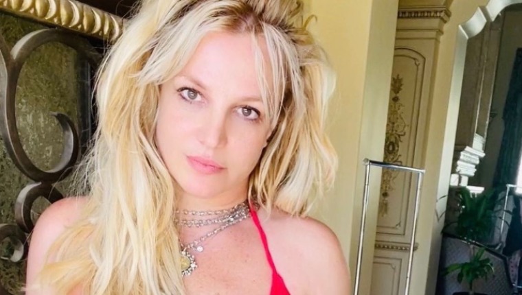 Britney Spears Posts Mask Meme And Fans Want Answers, "Who Is This And Where Is Britney"