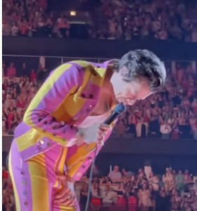 Harry Styles Hit In The Groin During Live Concert-'Disgusting'