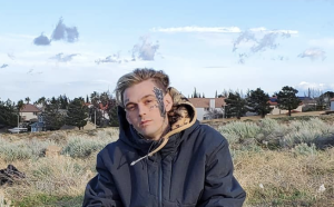 Aaron Carter Was Allegedly Stopped On Suspected DUI Days Before His Death