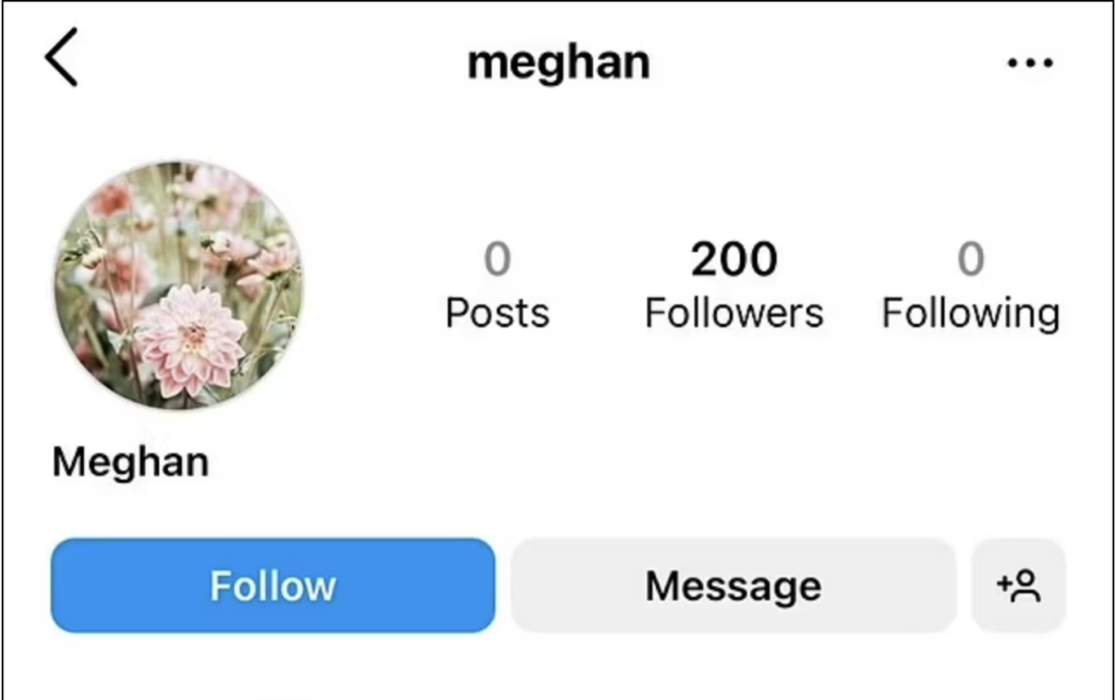 Fans Convinced Meghan Markle Could Be On Instagram Following Mysterious Account