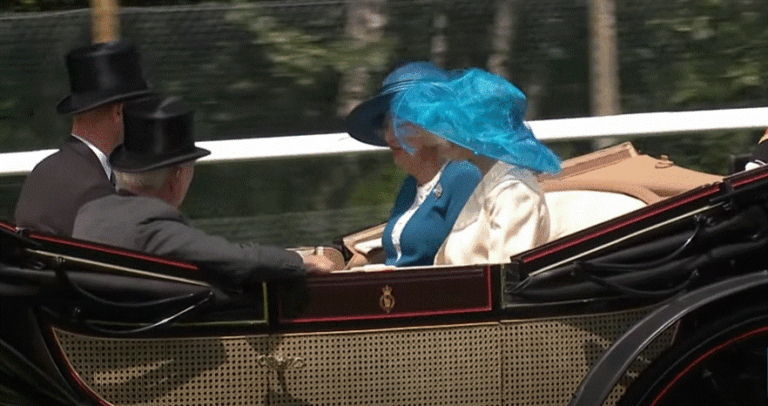 The Royal Family