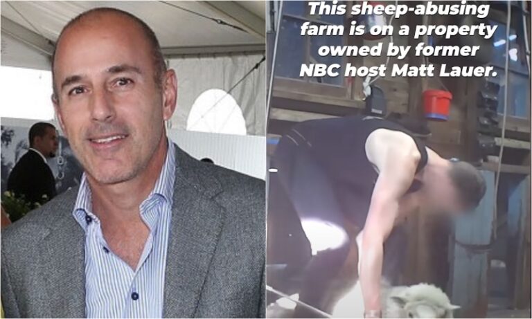 MATT LAUER sheep new zealand property